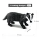 Standing Badger -207