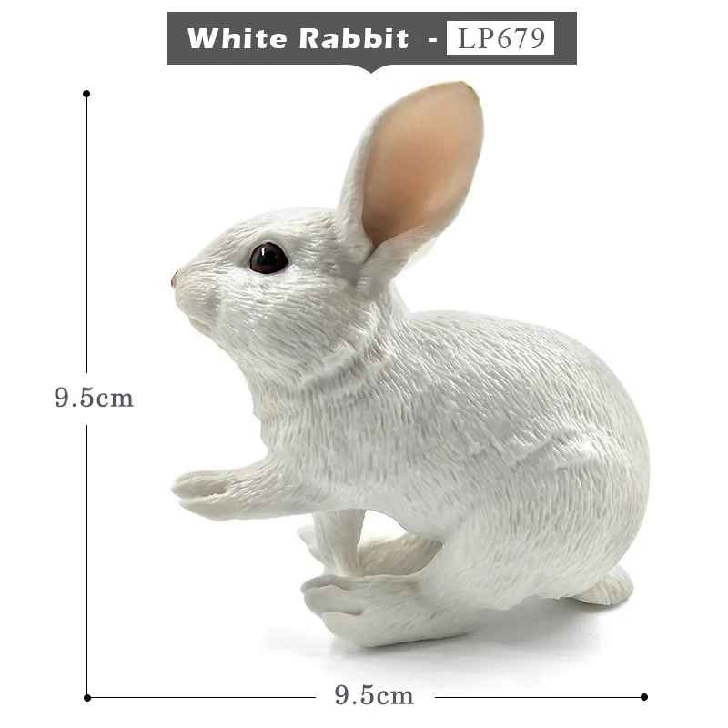 White Rabbit