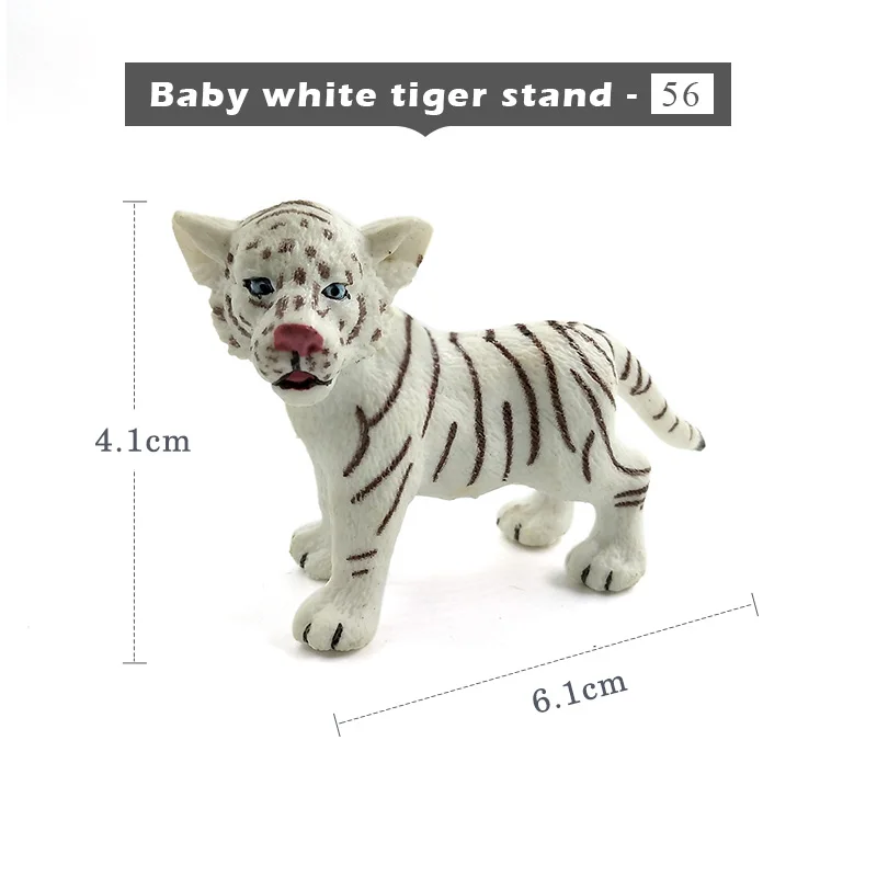 Baby-white-tiger-sta