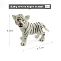 Baby-white-tiger-sta