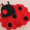 Ladybug