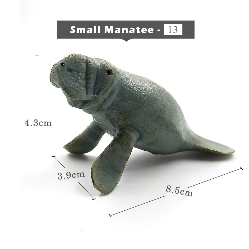 Small Manatee-b