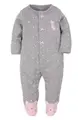 Gray cat pink
