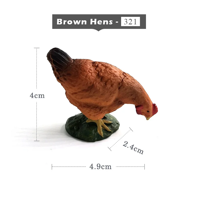 Brown Hens -  321