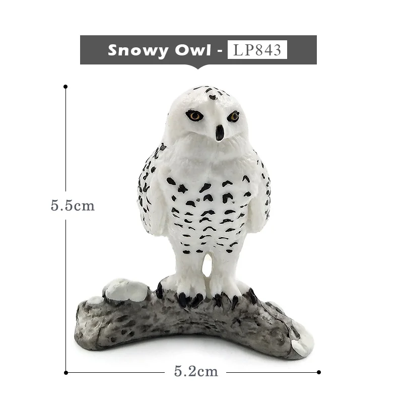 Snowy-Owl