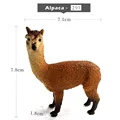 Alpaca