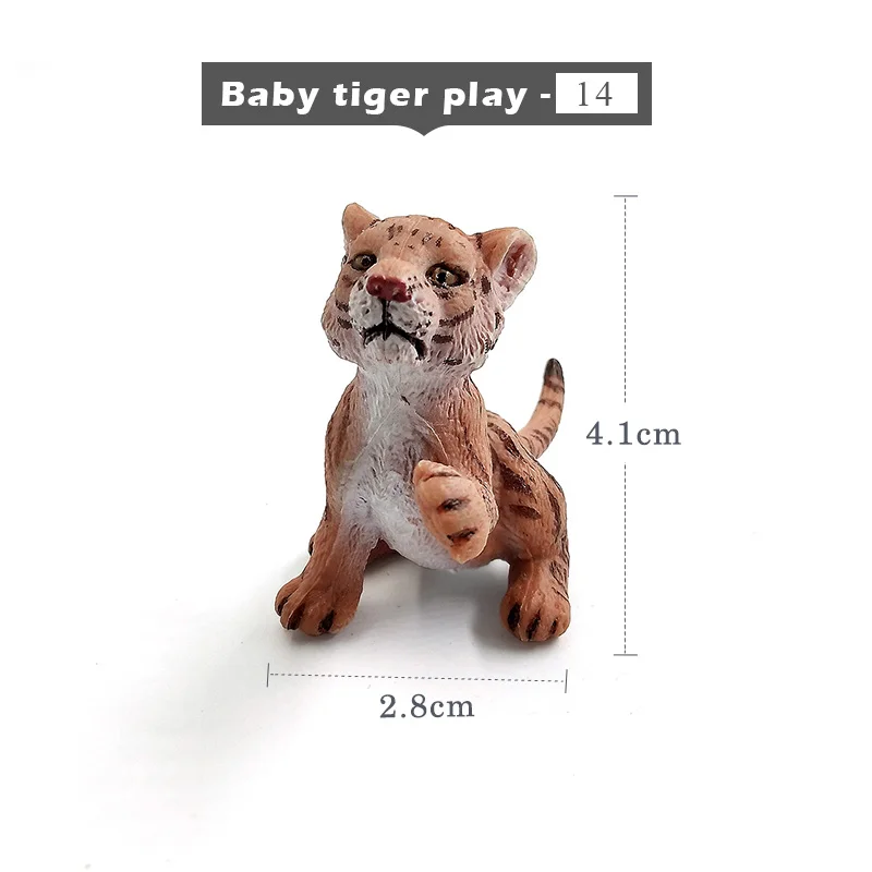 Baby-tiger-play