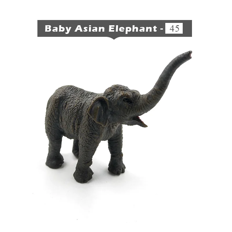 Baby Elephant