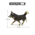 Husky-Dog