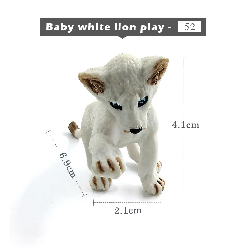 Baby-white-lion-play
