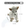 Baby-white-lion-play