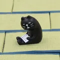 Black Cat Reading