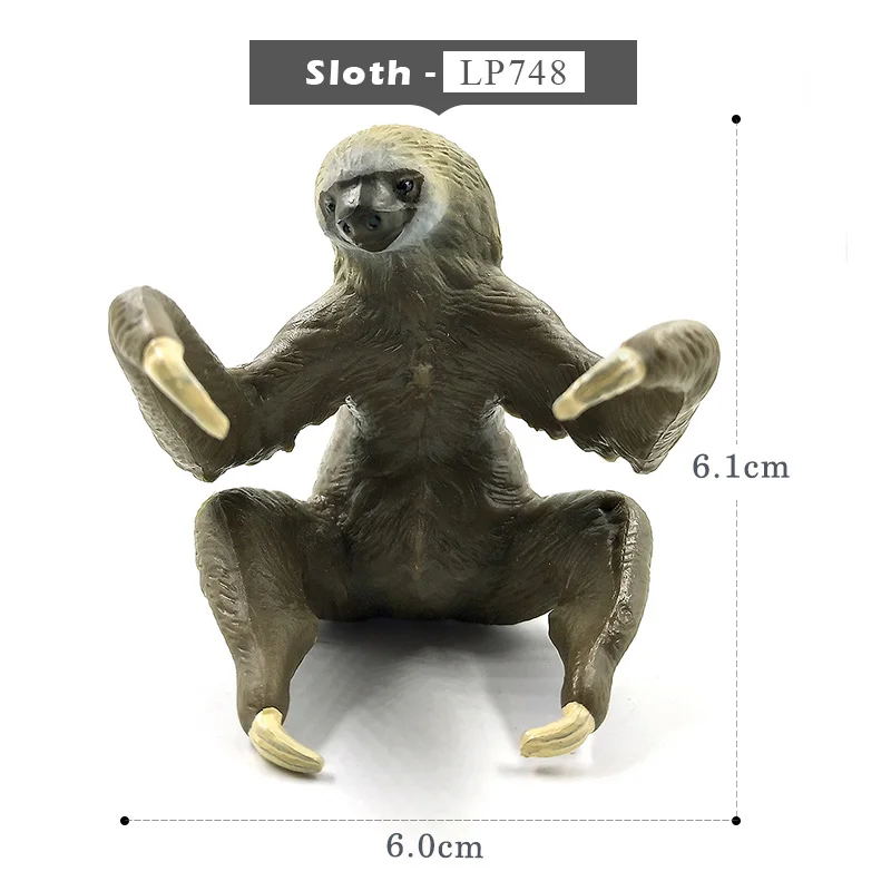 Sloth