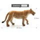 Lioness
