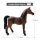 Arabia Male Horse