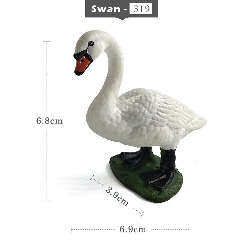 Swan -  319