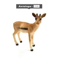 Antelope