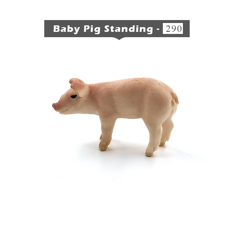 Baby Pig Standing