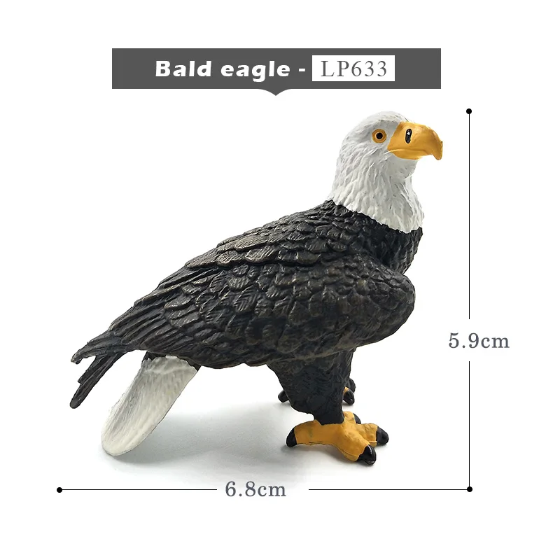 Bald-eagle