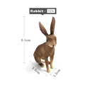 Rabbit -  c