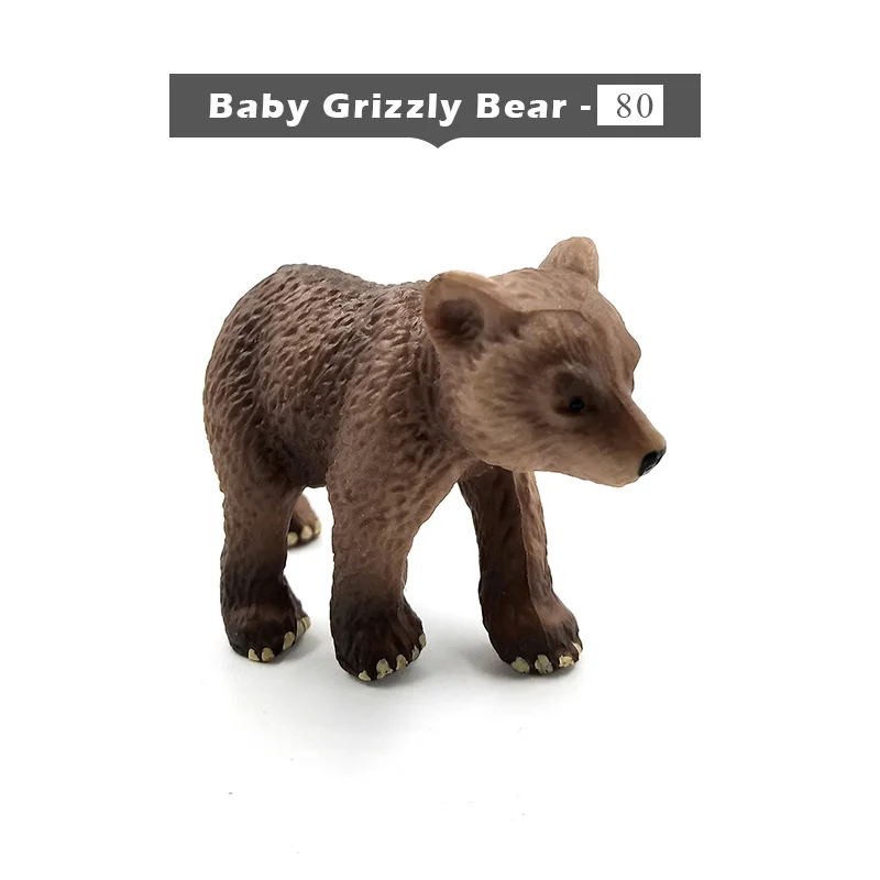 Baby Grizzly Bear