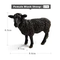 Female Black Sheep