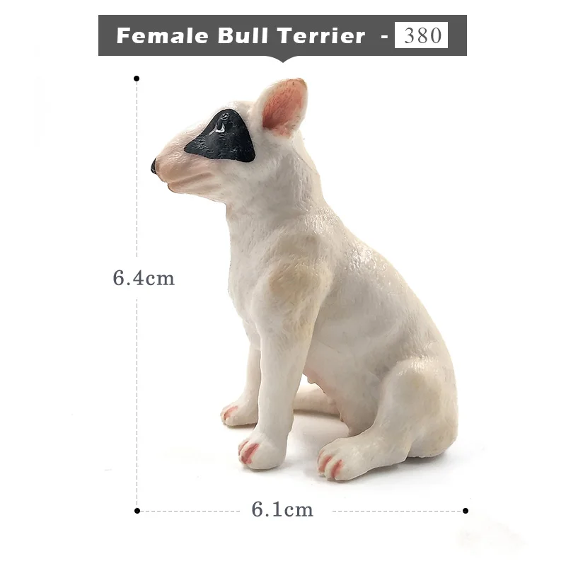 Female Bull Terrier