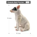 Female Bull Terrier