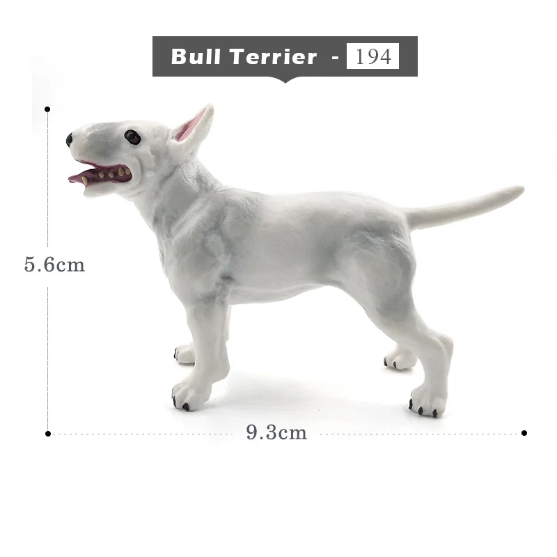 Bull Terrier