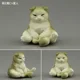 Scottish Fold