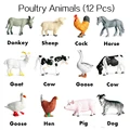 Poultry Animal 12PCS