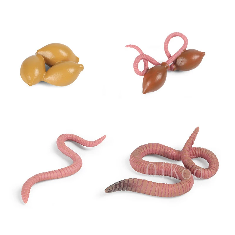 Animal 24