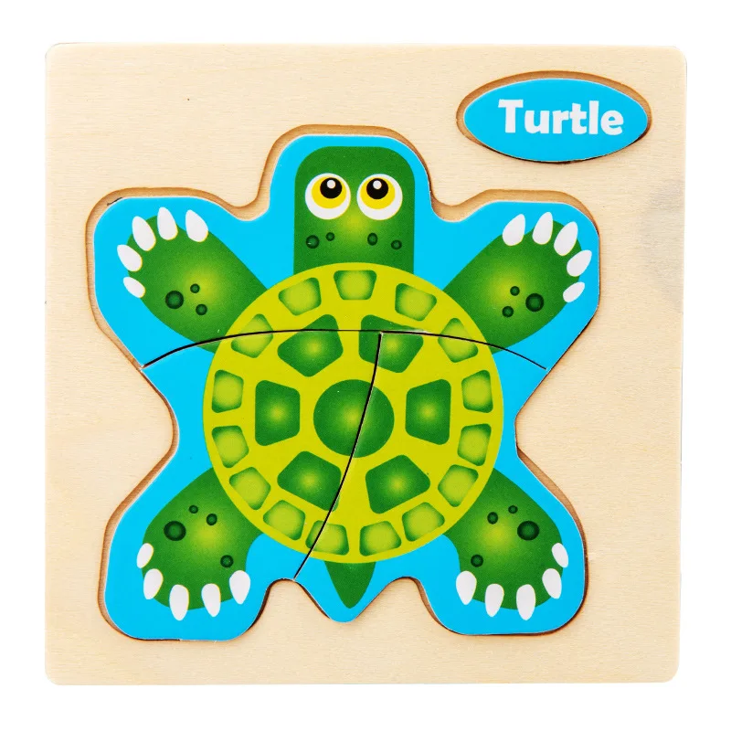 Tortoise