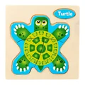 Tortoise