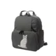 Gray Cat