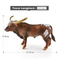 Texas Longhorn