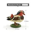Mandarin Duck