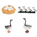 Animal 26
