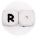 10pcs R