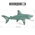 White Shark