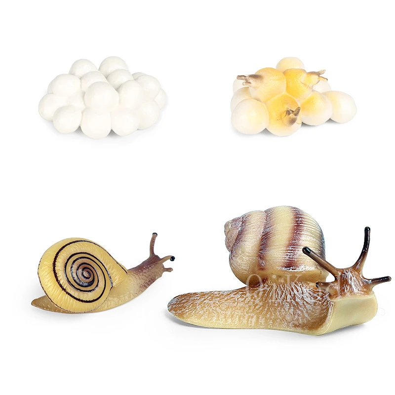 Animal 38