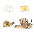 Animal 38