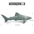 Whale Shark