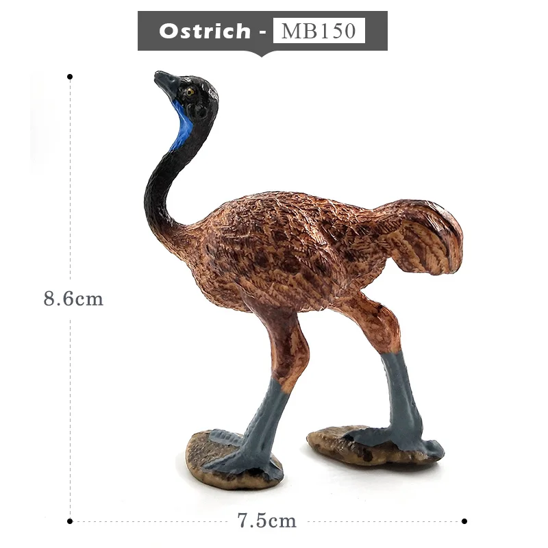 Ostrich