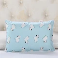 Color 16-pillowcase