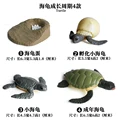 Sea turtle - 1