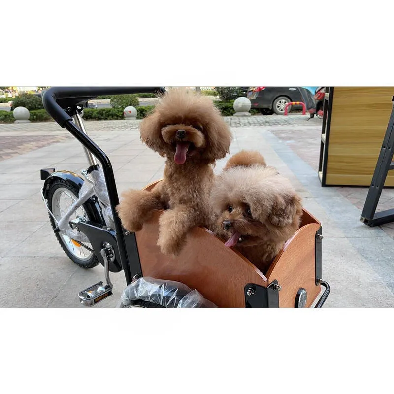 Triciclo de carga con caja frontal para mascotas - imagen 4