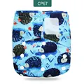 CP67