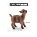 Baby Goat