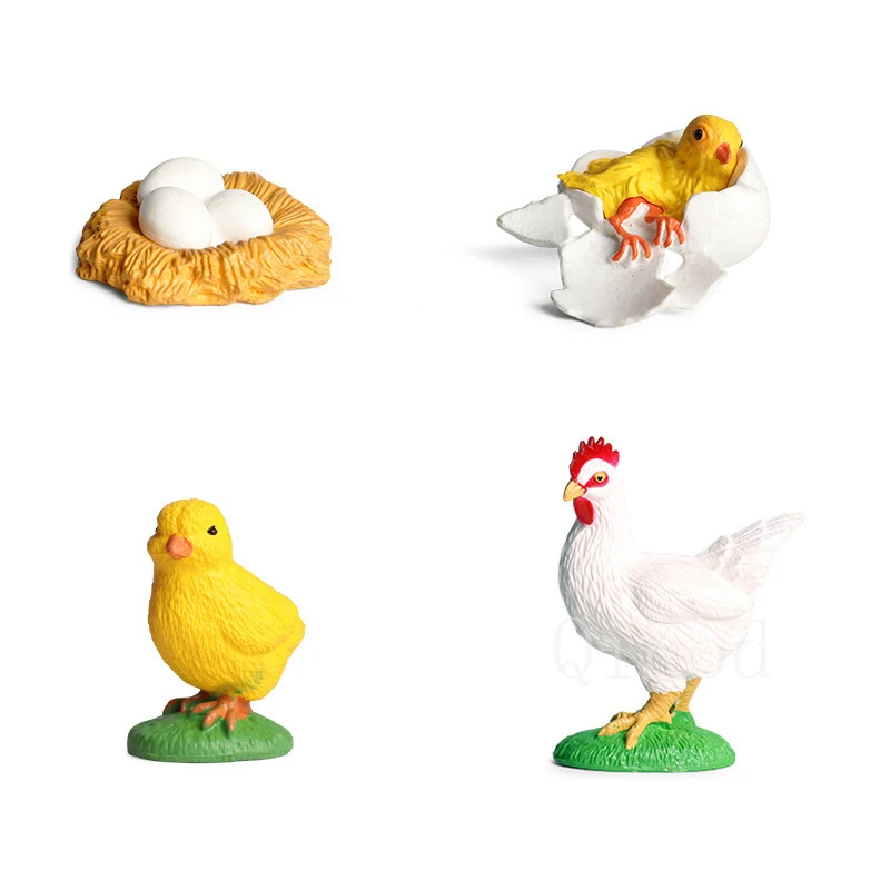 Animal 3